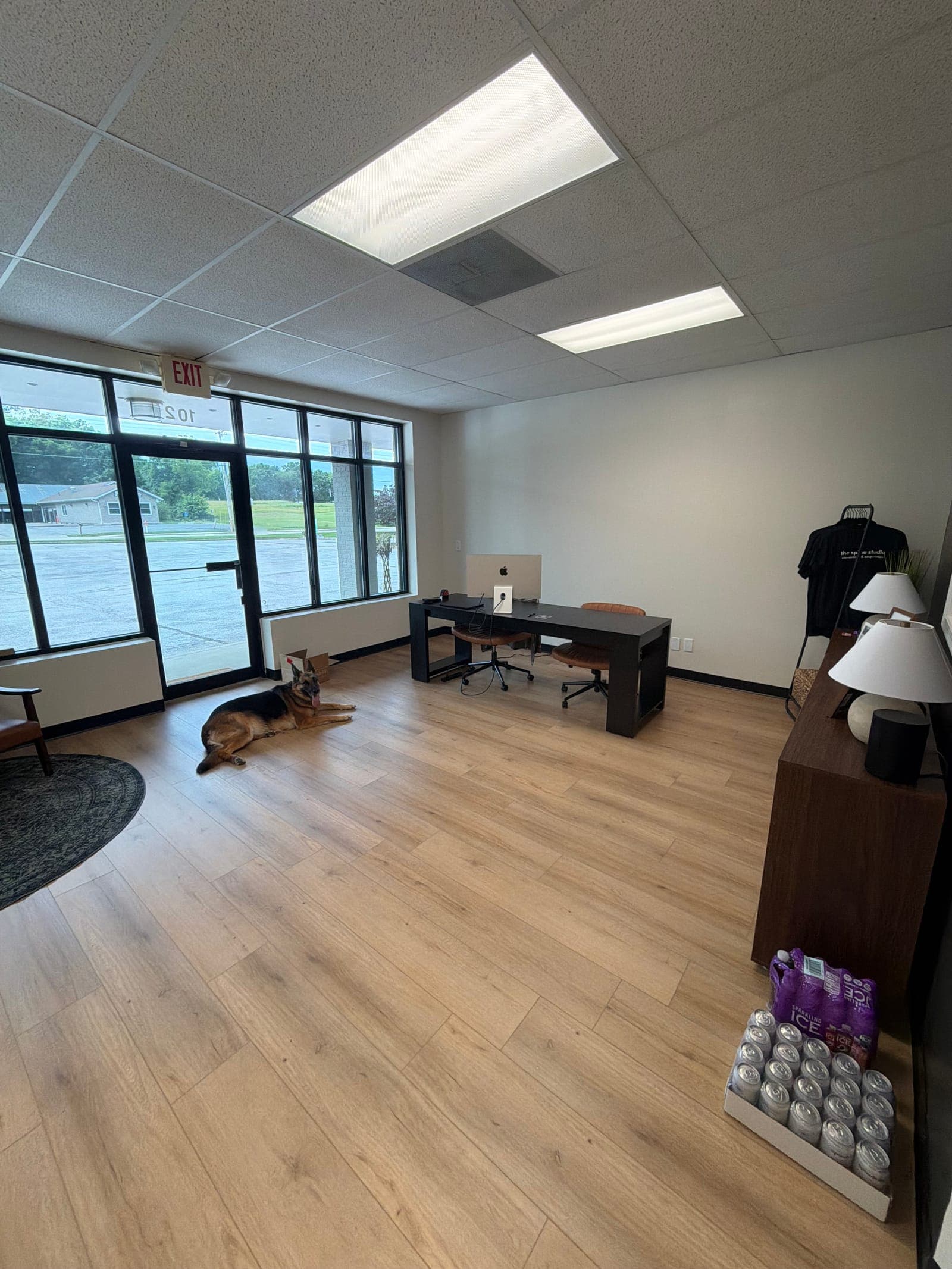 The bright, welcoming front room of The Spine Studio in Cottleville, with a German Shepherd resting on the floor by the windows.