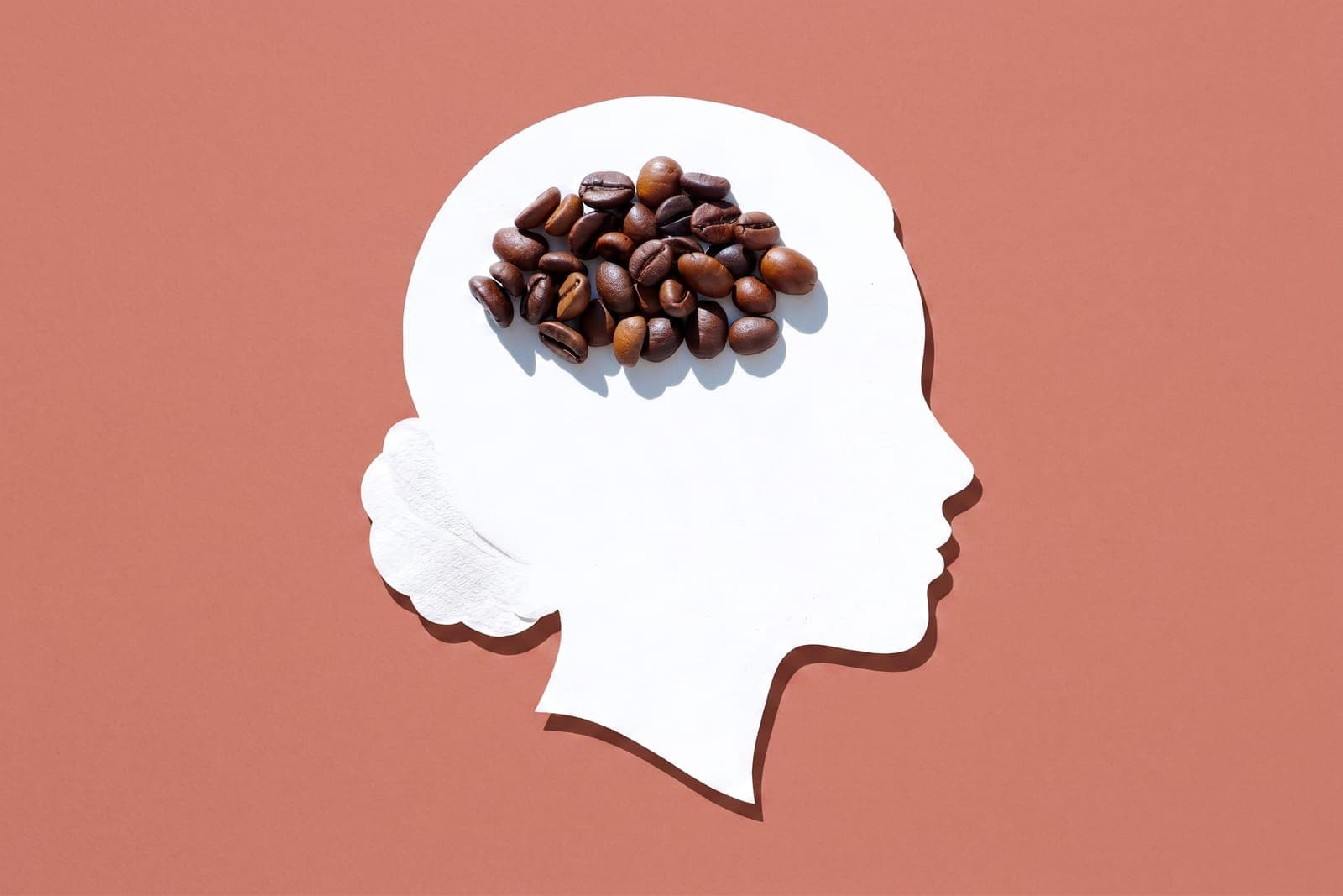 A white paper cut-out of a human head in profile with roasted coffee beans arranged where the brain would be, on a terracotta background.
