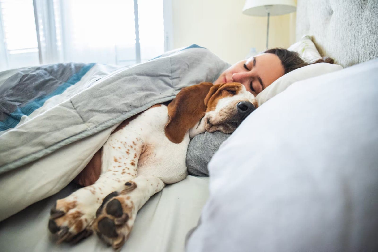 A person sleeping peacefully on their side in bed, curled up with a small dog under the covers.