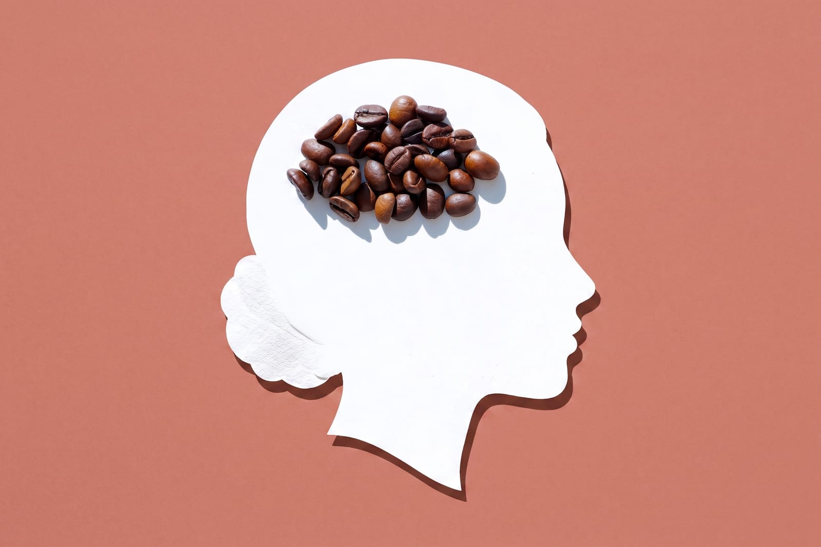 A white paper cut-out of a human head in profile with roasted coffee beans arranged where the brain would be, on a terracotta background.